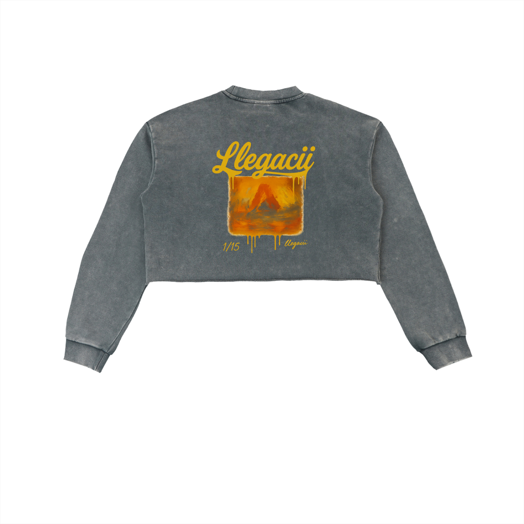 Snow Washed Raw Edge Cropped Sweatshirt